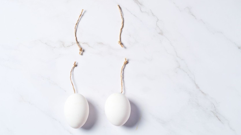 Image de deux spermatozoïdes coupés en deux